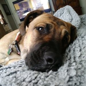 Meet your Posher, Erin